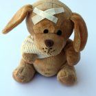 teddy, dog, stuffed animal-242848.jpg
